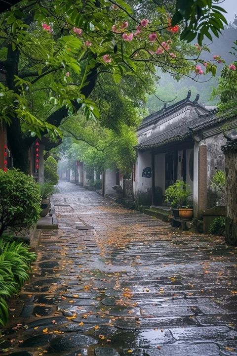 春日里的苏州：遇见温暖如许的城市风情