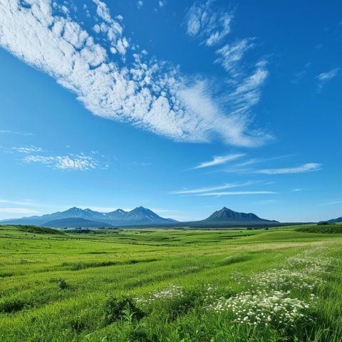 阜新彰武县德力格尔草原景区(辽宁阜新彰武县德力格尔草原景区飞吻)