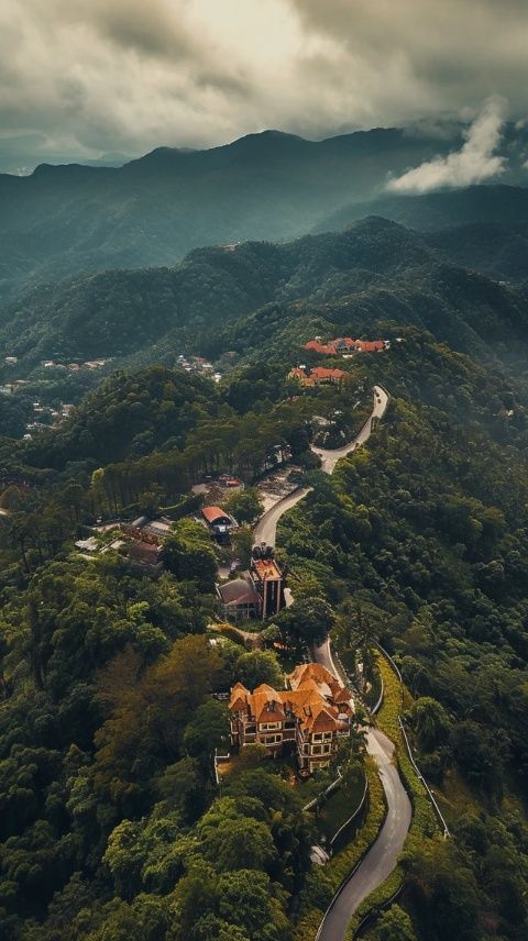 别再独自去厦门！当地团游更省心，玩转五大必去景点