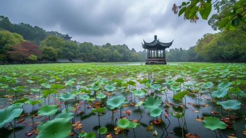 探寻惠州的美丽西湖之旅