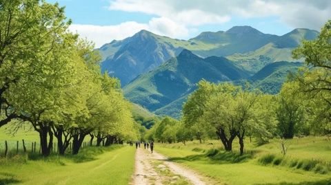 陕西避暑胜地大揭秘：长武与太白的清凉夏日活动天堂