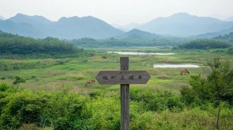 走进青木川魏辅唐(走进青木川2)