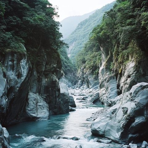 走进青木川魏辅唐(走进青木川2)