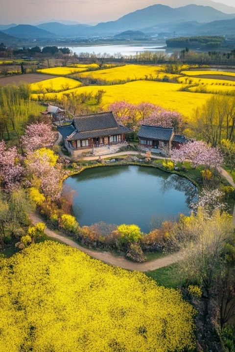 江安县旅游攻略，探秘自然美景与美食天堂