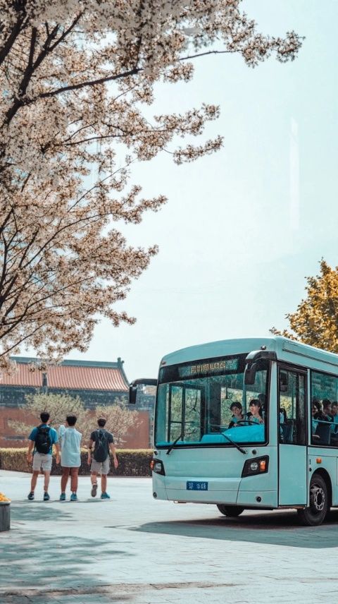 在衡水的一天，我乘坐公交前往了市区，打算在这里寻找一些小生意或者工作机会,下午