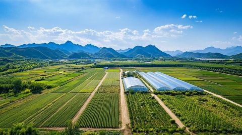 广州至桂林：龙脊梯田与阳朔三天两夜避雷攻略