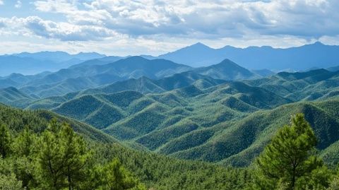 莫干山风景介绍