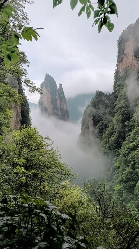 太行山腹地秘宝——阜平八大碗香气四溢，吸引八方食客品味古早美味
