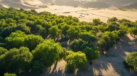 博尔塔拉河畔绿意浓：新疆首个自治区级水利风景区落户博乐市，打造生态旅游新地标