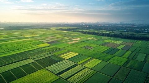 沭阳我的家乡味道沭阳，位于中国江苏省北部，是一个以农业为主的县份