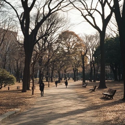 今天在地铁里遇到两位来沈阳美国大使馆办理业务的山东小姐姐，听他们俩一路夸沈阳