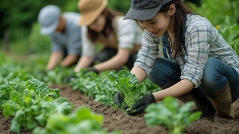 中班美食教案：培养珍惜食物和尊重劳动的意识