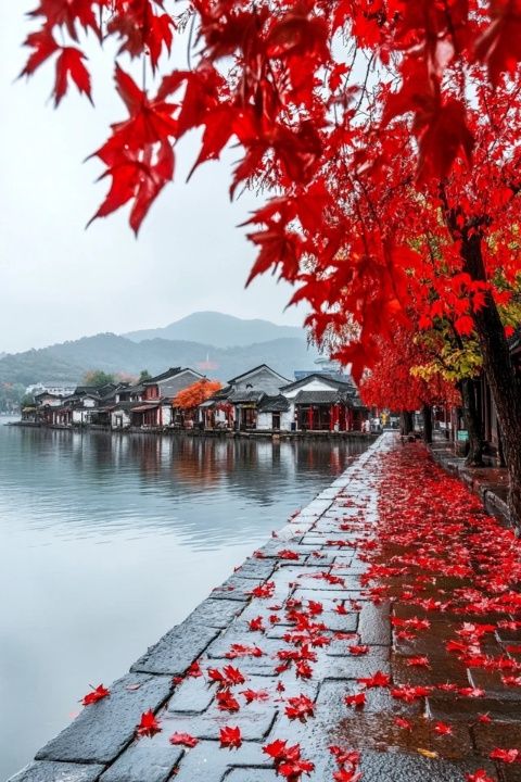 体验南京赏秋之钟山风景区的美景和美食