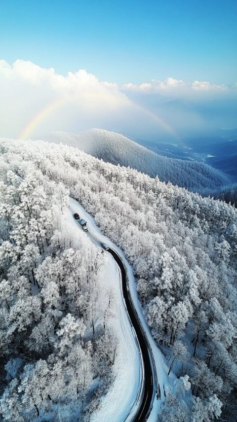 北海道冬日之旅：步入冰雪仙境