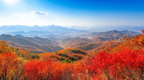 来到大南山观看完山上的美景