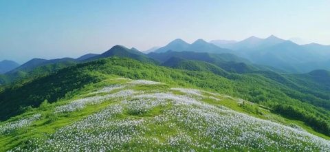 山西右玉：黄花飘香的地方，一个隐藏在塞北的小城，美的低调却让人心动