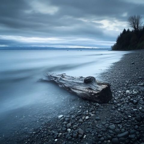 纳奈莫（Nanaimo）是加拿大不列颠哥伦比亚省温哥华岛东岸的一座风景秀丽的城市