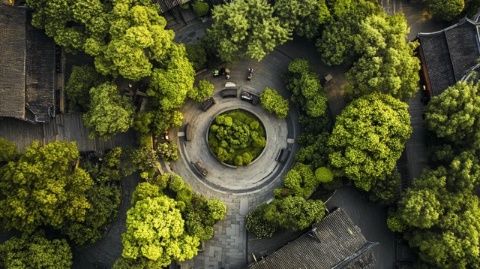 苏州三大古街巷：沉浸式体验江南水乡的韵味与风情