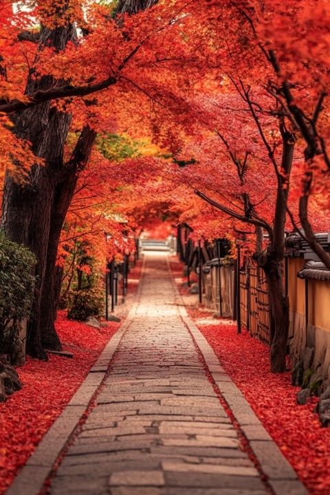 续上一篇,再带大家一起深入日本清水寺的另一番风景