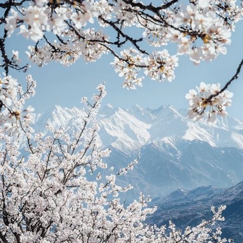 兰州桃花旅游节活动知多少？