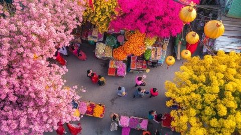 佛山禅城花市开幕一个月，美食为主花卉稍后登场