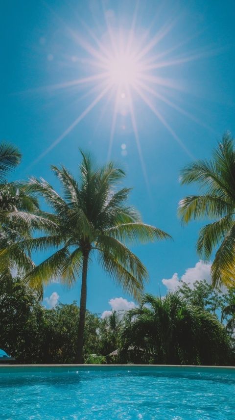 夏日防雷防暑宝典