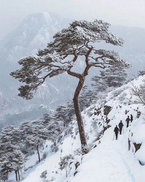 宜兴黄塔顶冬季徒步探险：挑战自我，尽享江南雪域风光