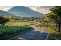 探索洛阳涧西区浅井头九都路——初绽的新晋超市潜力无限