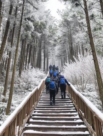 冬日川南探索之旅：乐山大佛、峨眉山与螺髻山温泉体验