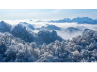 大明山万松岭滑雪场：抢先体验早鸟票优惠，畅享华东最大室外高山雪域