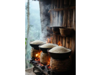 阳江五大美食(阳江美食介绍)