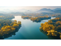 南京高淳秋日之旅：沉浸在大自然的美丽中