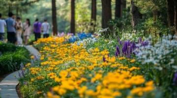 春游赏花｜解锁佛山高明2日1夜亲子游新玩法