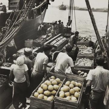 1950年前后，印尼当时发生了严重的排华事件，许多华侨回到祖国