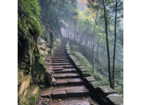 胆小慎入！探索湖北五峰柴埠溪大峡谷的惊险之旅