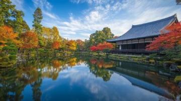 和歌山超全旅行攻略日本小众宝藏地