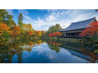 和歌山超全旅行攻略日本小众宝藏地