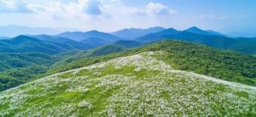 探索谷城自然奇景——老军山的历史、文化与四季风光之旅