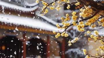 雅丹梨花盛开：春日里的雪景诗篇，纯净而浪漫的世外桃源