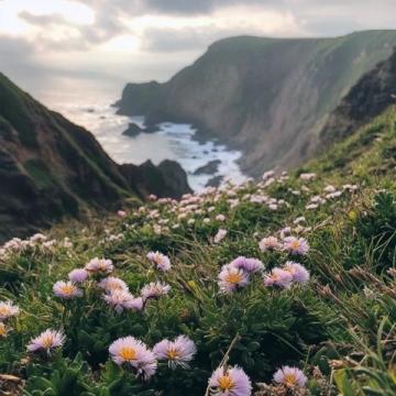 梦回花开的地方东海之滨的浪漫仙居舟山