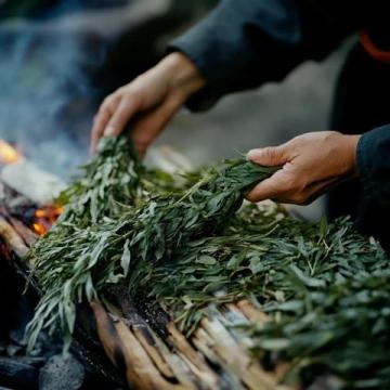 五月炎夏必备：酸辣裙带苗拌蕨根粉，开胃又健康！