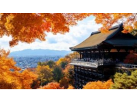 京都清水寺详尽游览攻略及实用建议